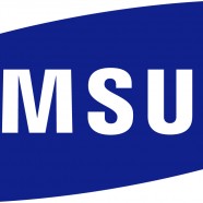 Samsung  – Smart Watch